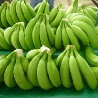 Cavendish Banana by Sri Vinayaga Exports
