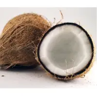 Semi Husked Coconut