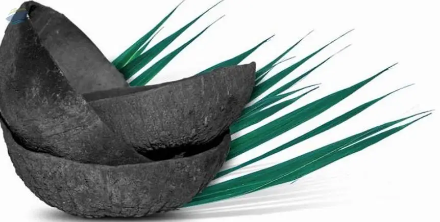 Coconut Shell Charcoal
