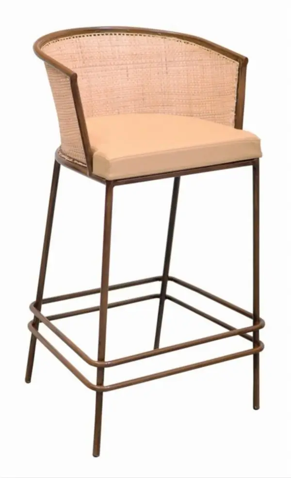 Modern High RIse Wood Chairs