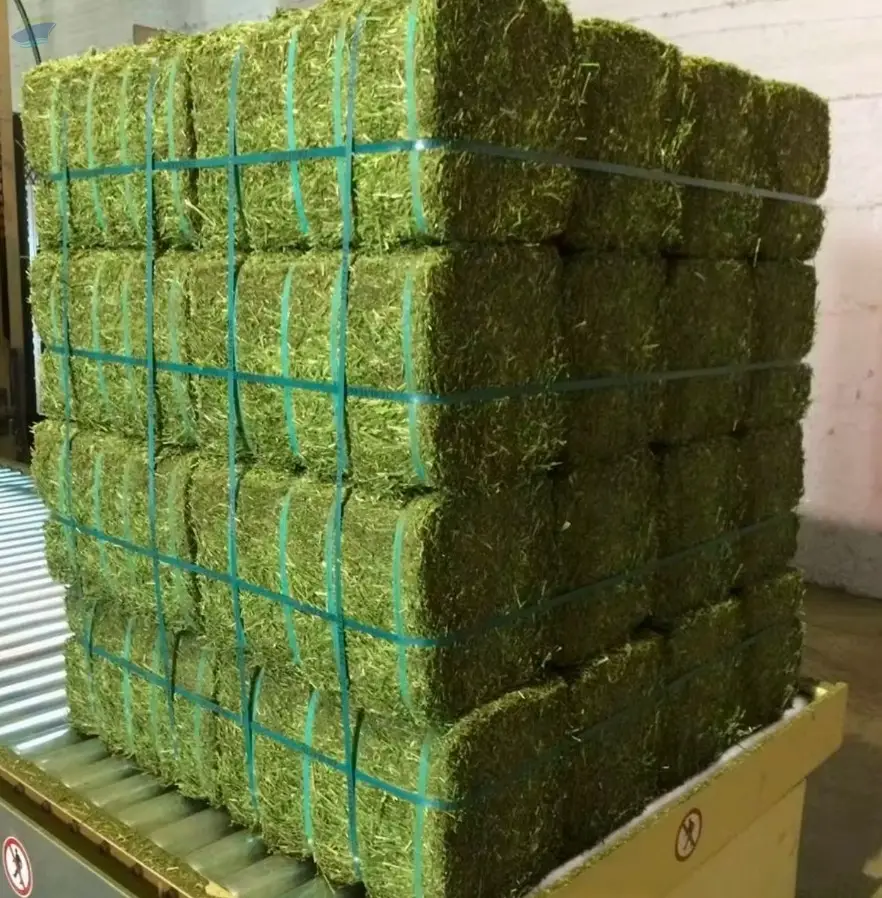 High Quality Alfalfa Hay and Timothy Hay
