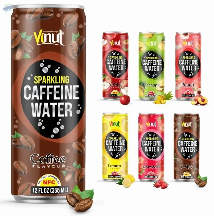 355ml Sparkling Fruit Juice Drinks