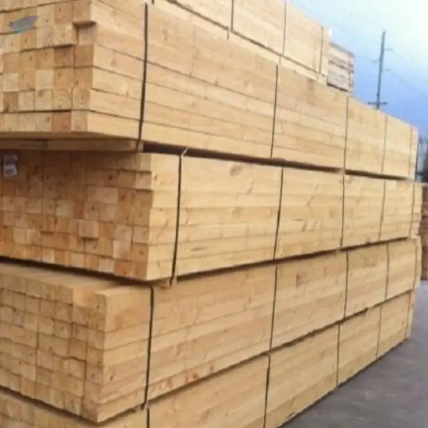 2025 Pine wood - Rubber wood -  Falcata