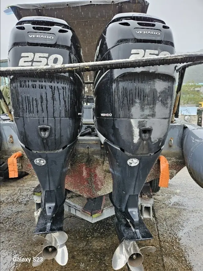 Mercury Verado 250 marine engine