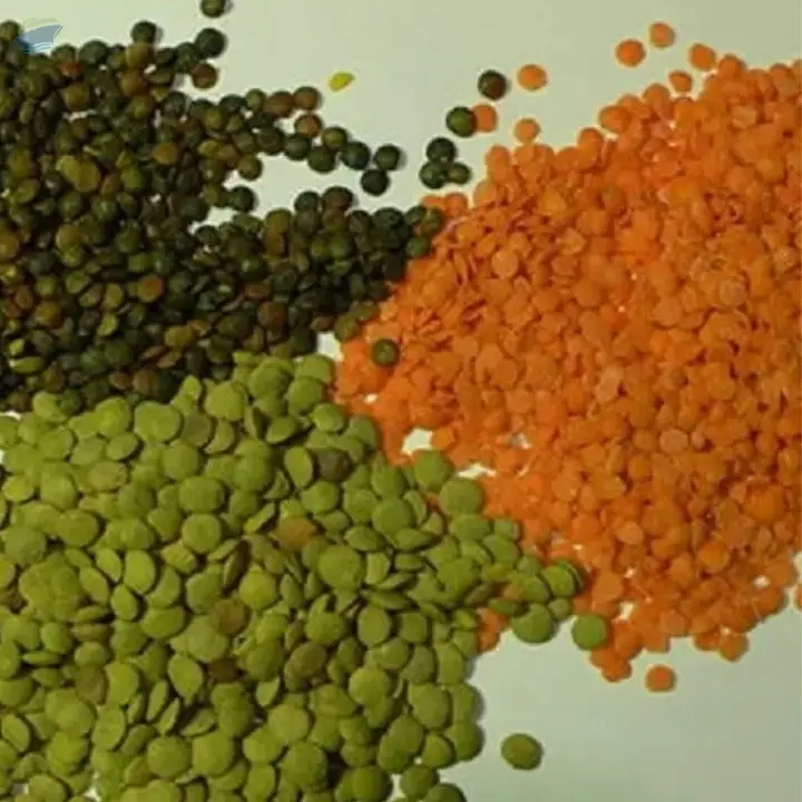 Red Lentils  and Green Lentils  Top Quality