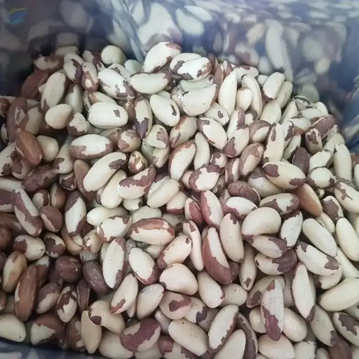 Best Quality  Brazil Nuts