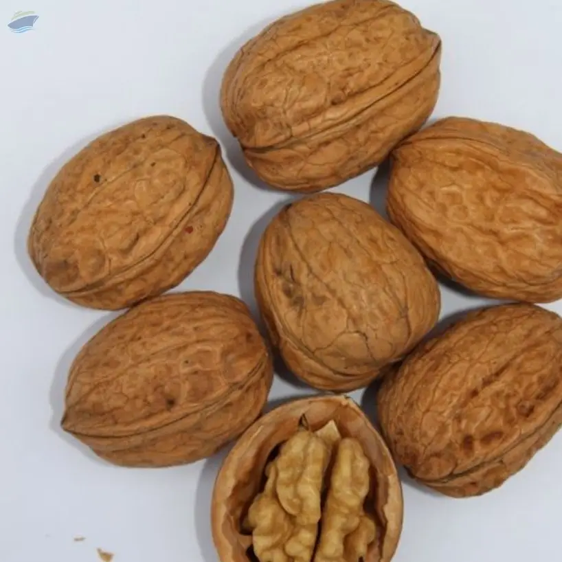Walnut Kernels
