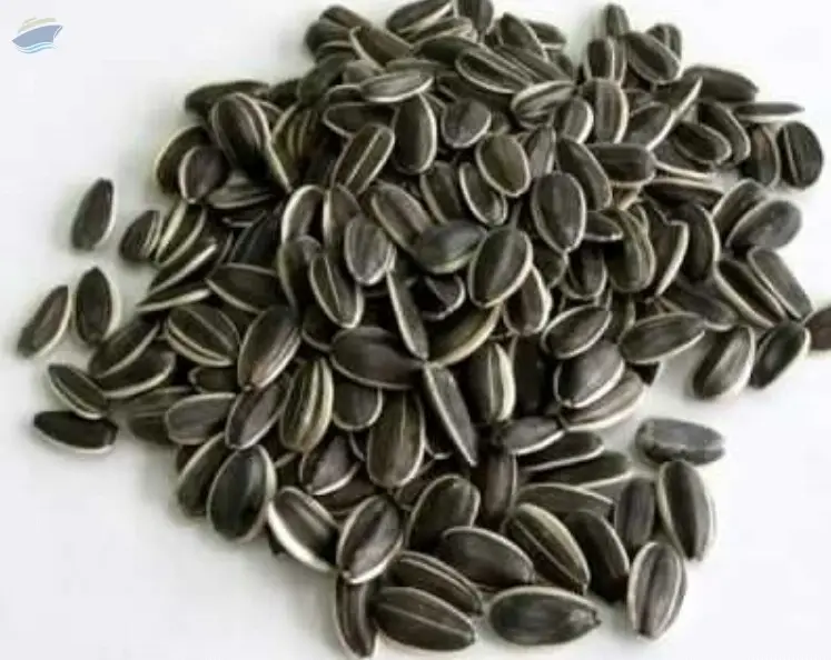 Sunflower Seeds by Prodekspo Plus LLC