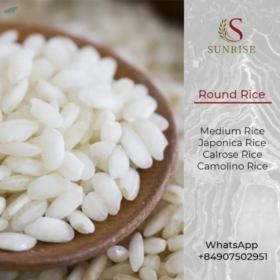 Round Rice From Vietnam
