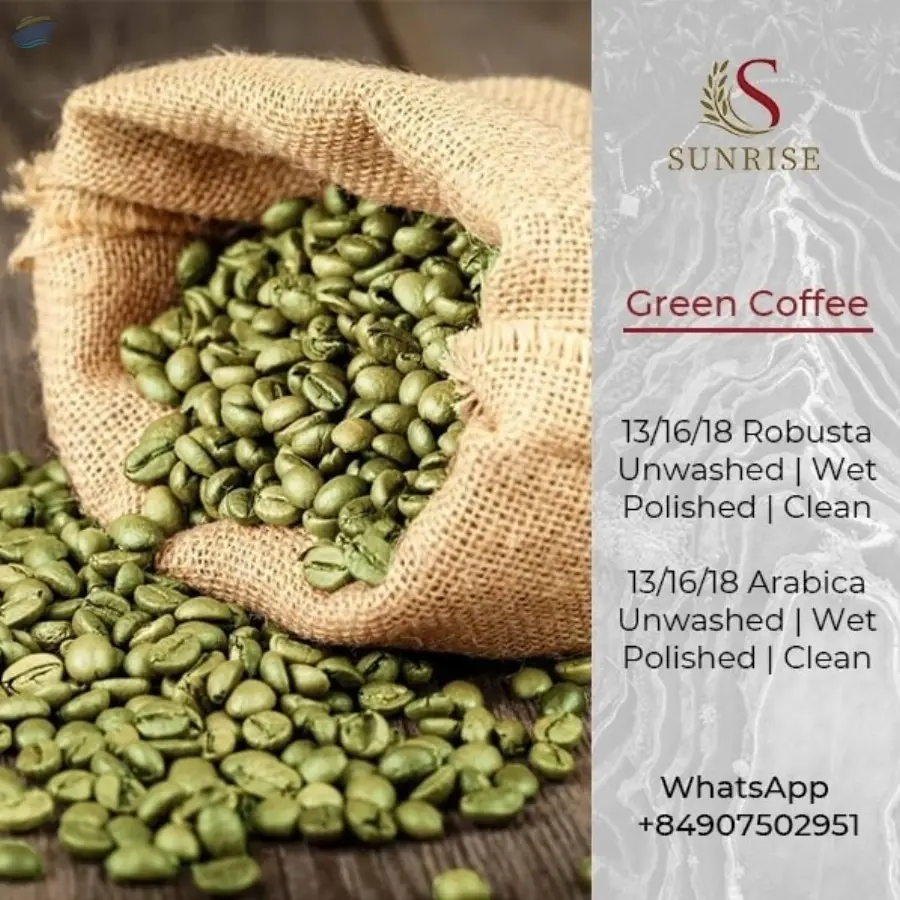 Green Coffee Beans from Vietnam