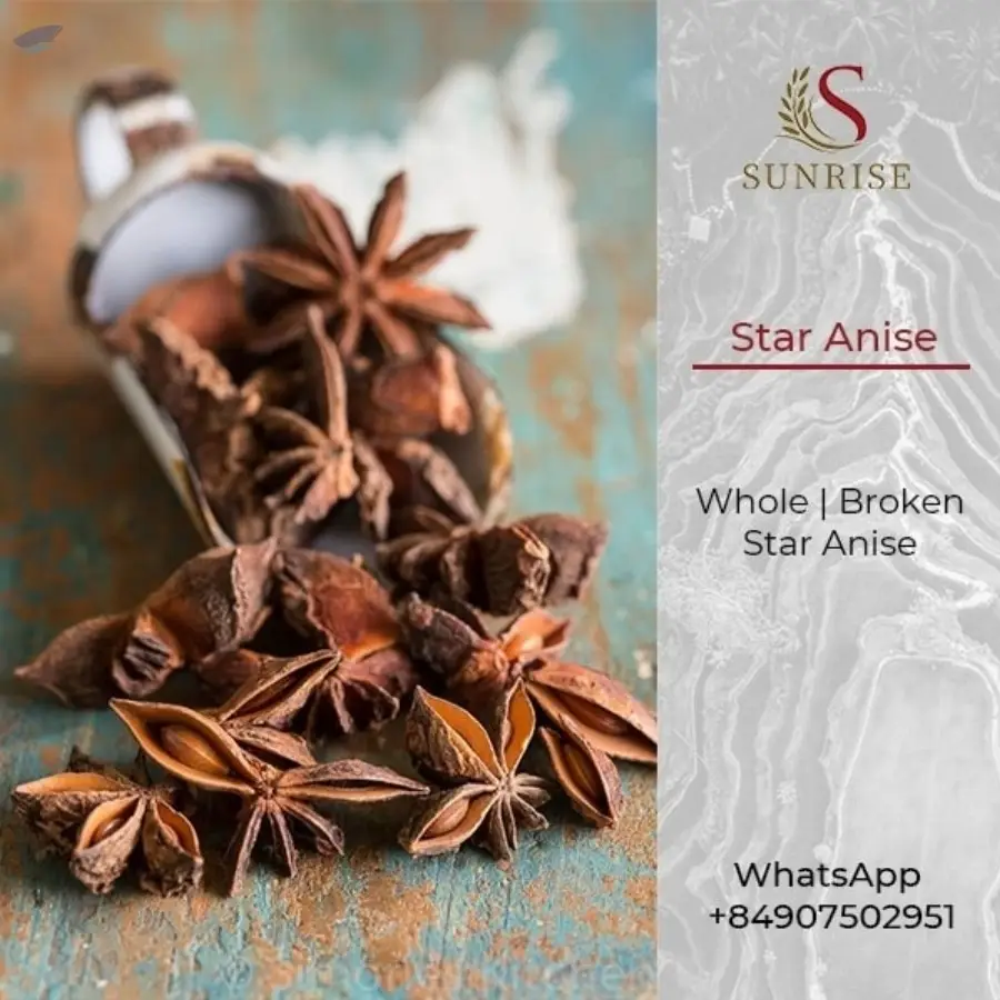 Anise Star from Vietnam