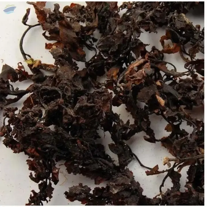 Vietnam Natural Dried Sargassum Seaweeds