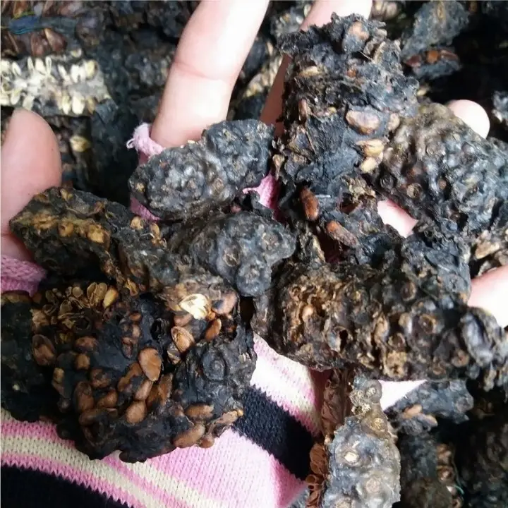 Vietnam Natural Dried Noni Fruit