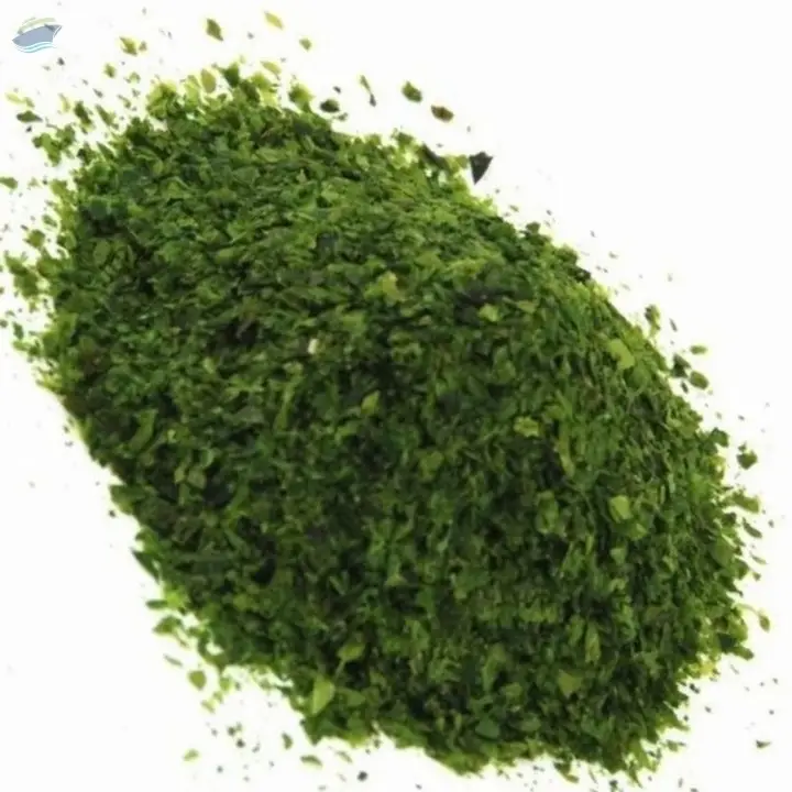 Natural Green Seaweed