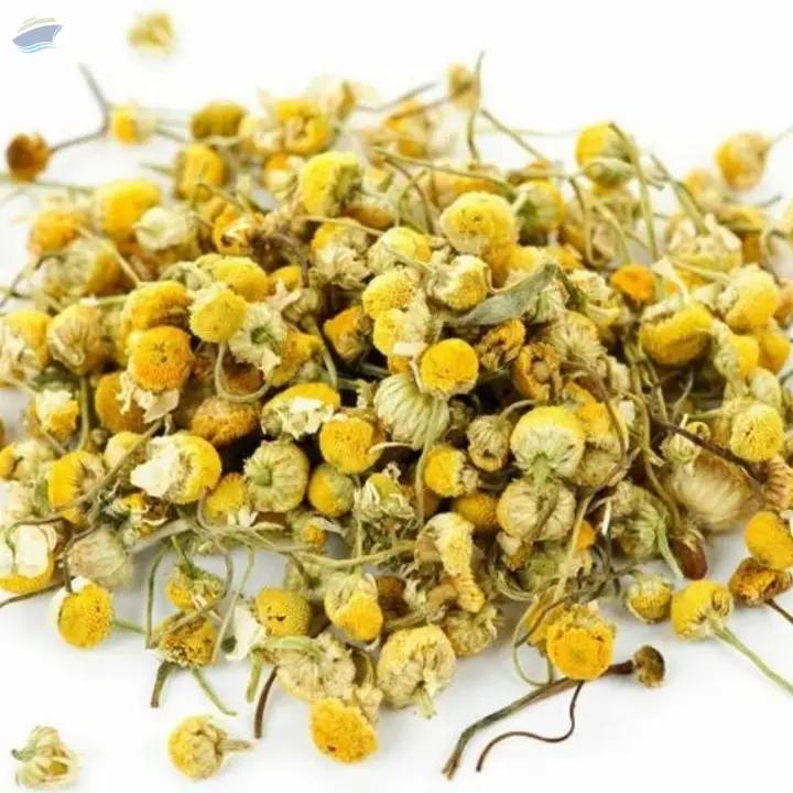 Dried Daisy Chamomile Flower