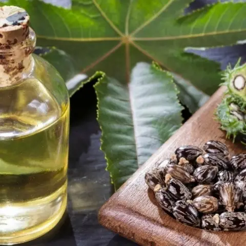 Top High Quality Castor Oil 25 Liters Bulk