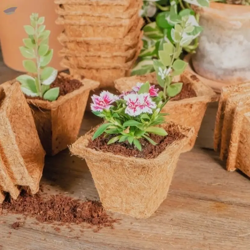 Coir Pots