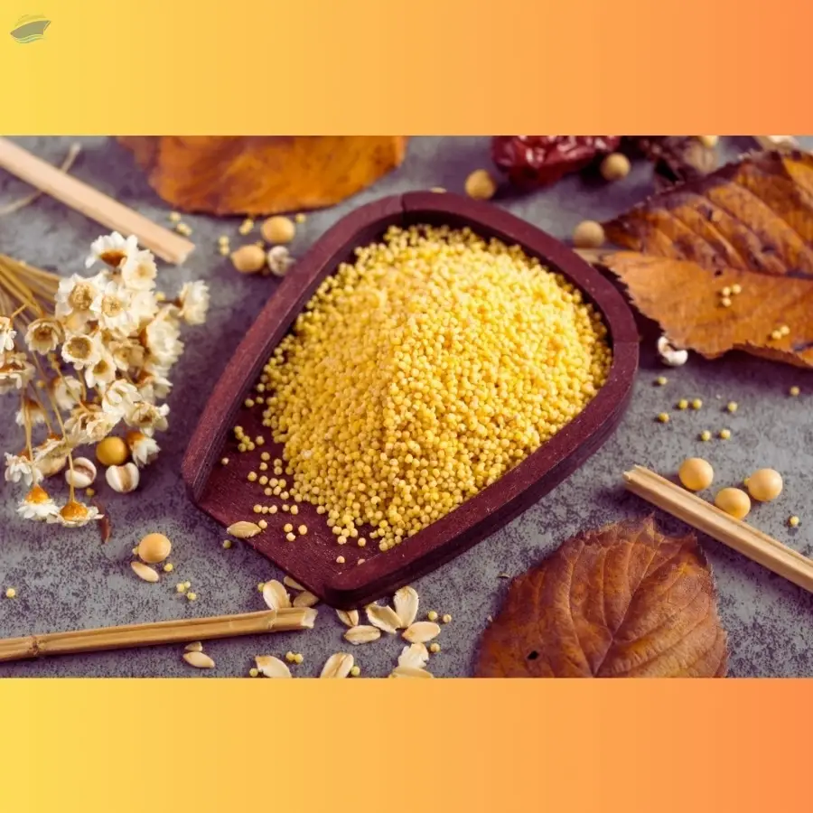 Millets Food  Products