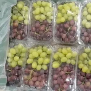 Fresh Grapes