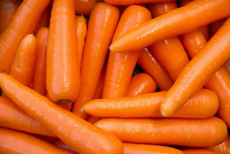 Fresh Carrot