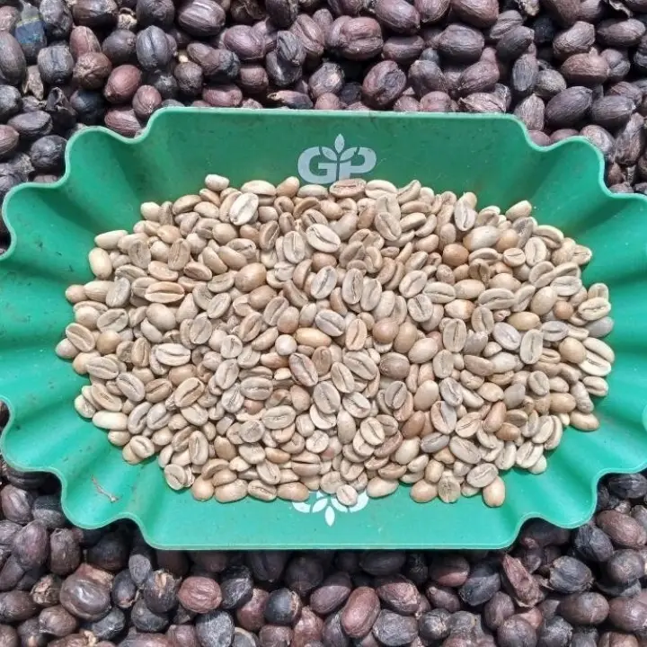 Best Quality Arabic Coffee Good Price