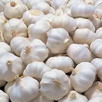 Fresh Garlic Viet Nam