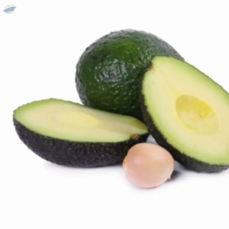 Avocado  Imported by Berrydale Foods Private Limited