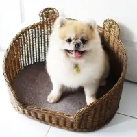 Vintage Rattan Cat Bed