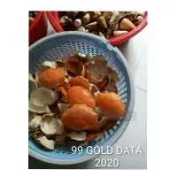 Wholesale Dried Crab Shell
