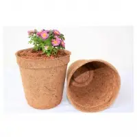 Premium Coir Fibre Pot From Vietnam