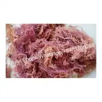 Purple Sea Moss Organic