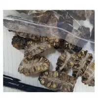 Dried Noni Fruit
