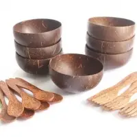 Coconut Shell Bowl