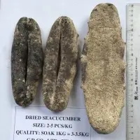Dried White Sea Cucumber