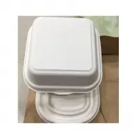 Sugacane Bagasse Box
