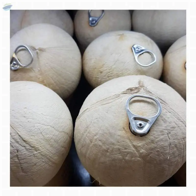 Fresh Young Coconut