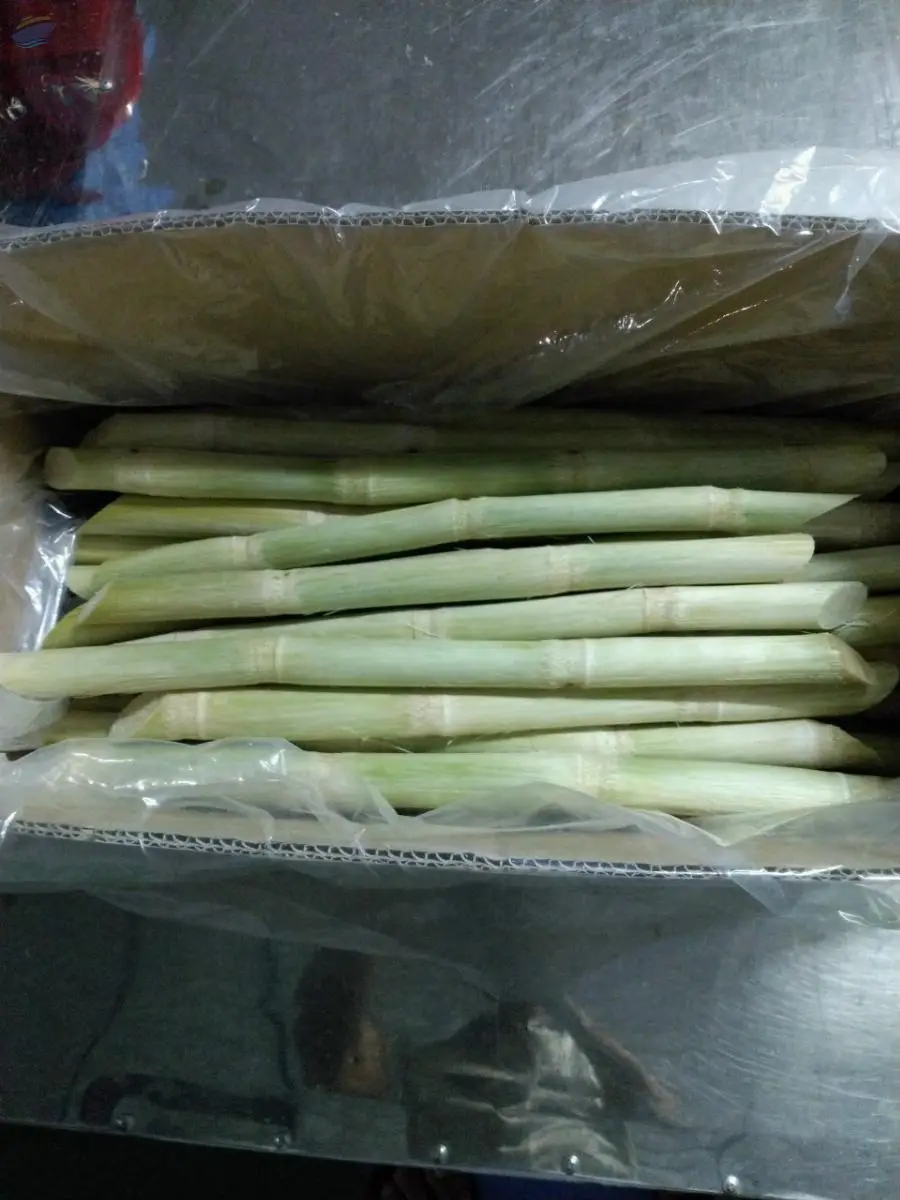 Frozen Sugarcane by 99 Gold Data Processing Trading Company Limited