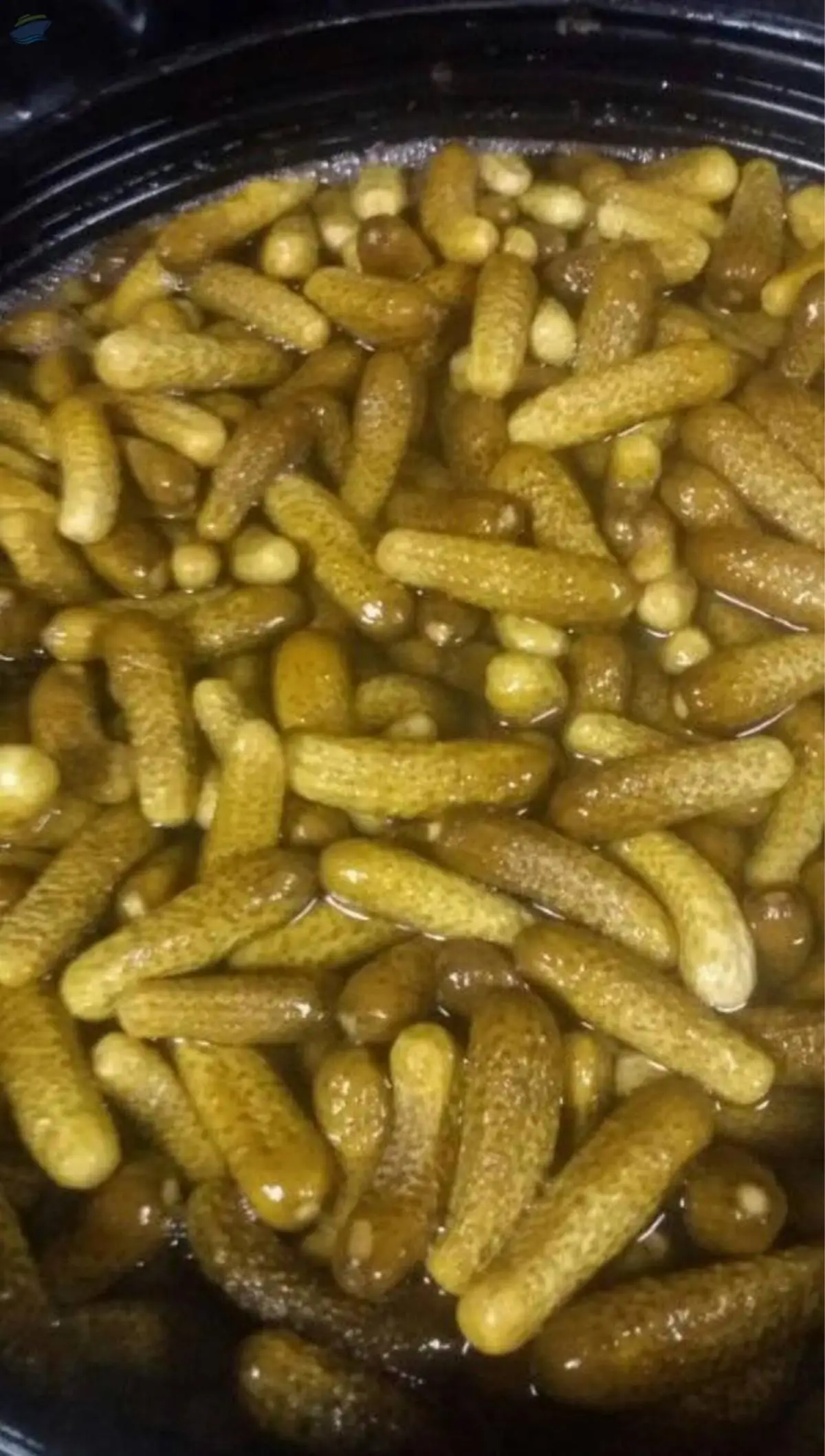 Canned Pickled Cucumber