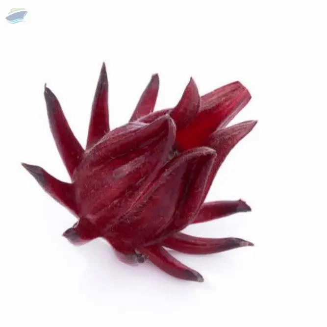 100% Pure Dried Hibicus Flower Good Price