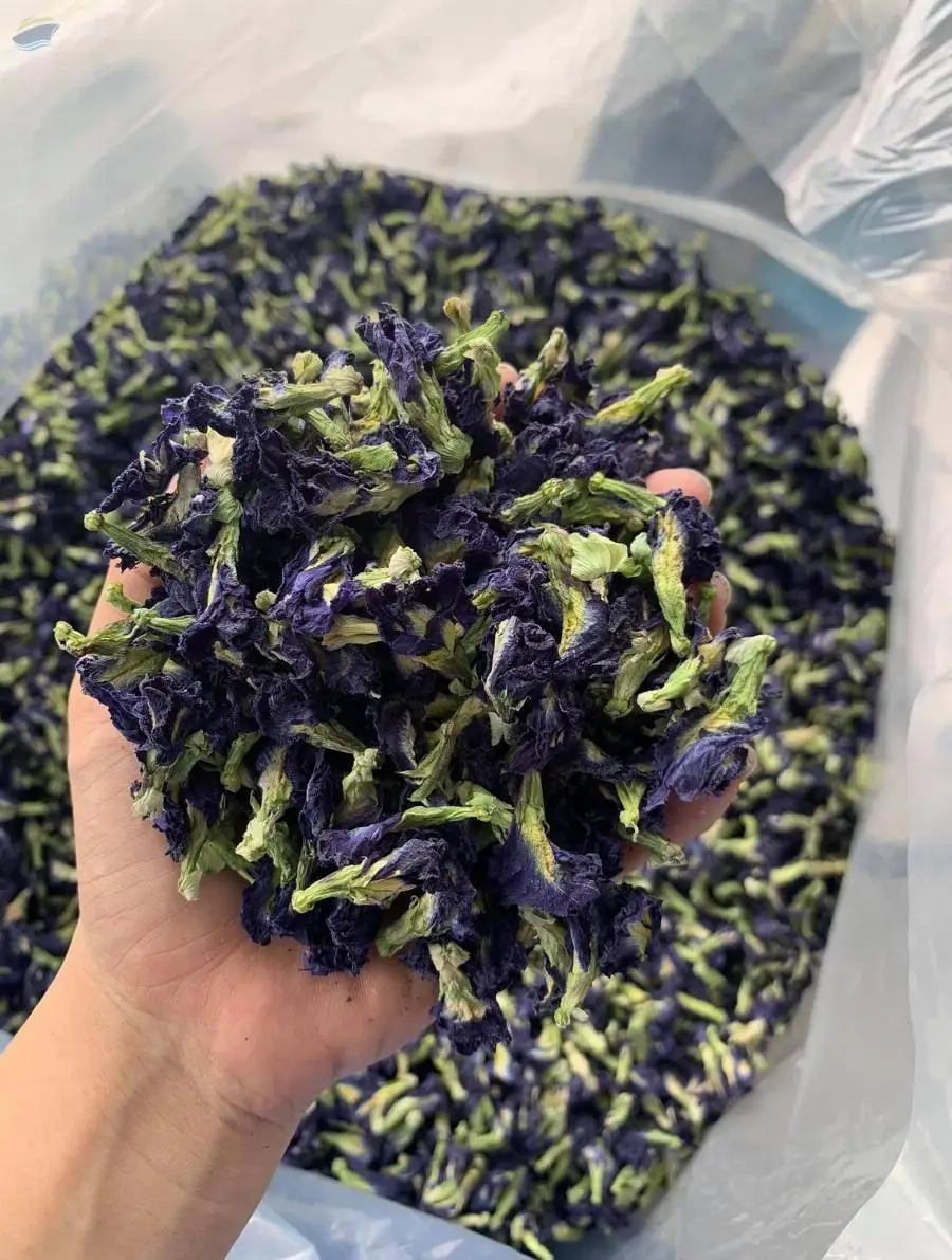 Dried Butterfly Pea Flower