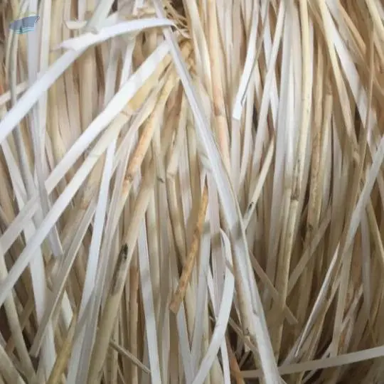 Rattan Peel/ Rattan Raw Material