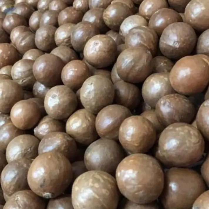 Macadamia Nuts
