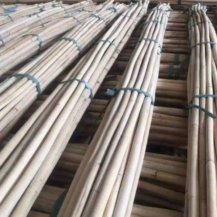 Rattan Pole Material by 99 Gold Data Processing Trading Company Limited
