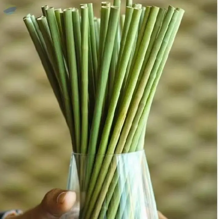 Dried Grass Straws