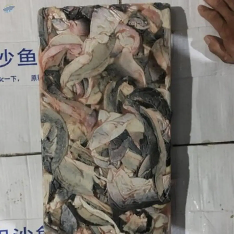 Frozen Pangausis Fish Skin