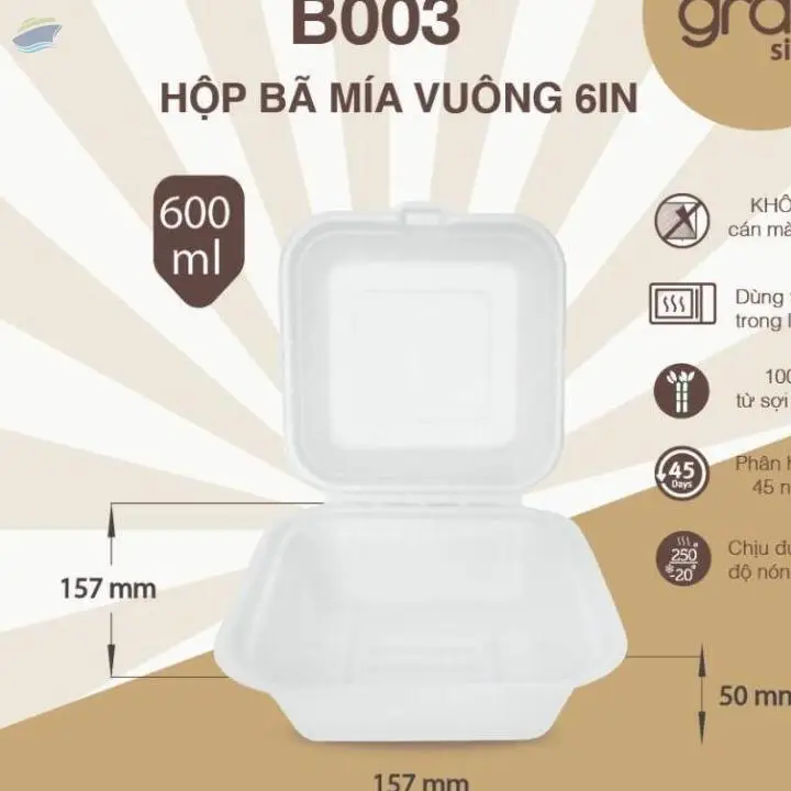 Sugarcane Container Bagasses