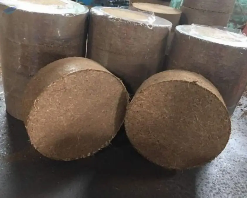 Coco Peat