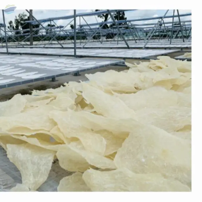 Dried Fish Maw Viet Nam