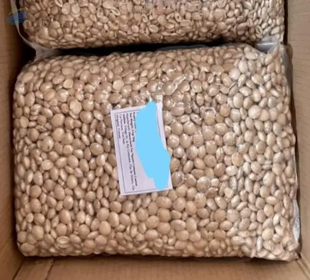 White Sacha Inchi Seed