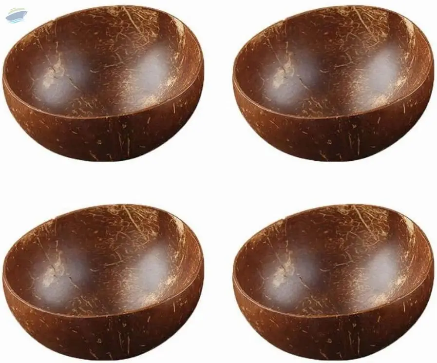 Natural Coconut Shell Bowl